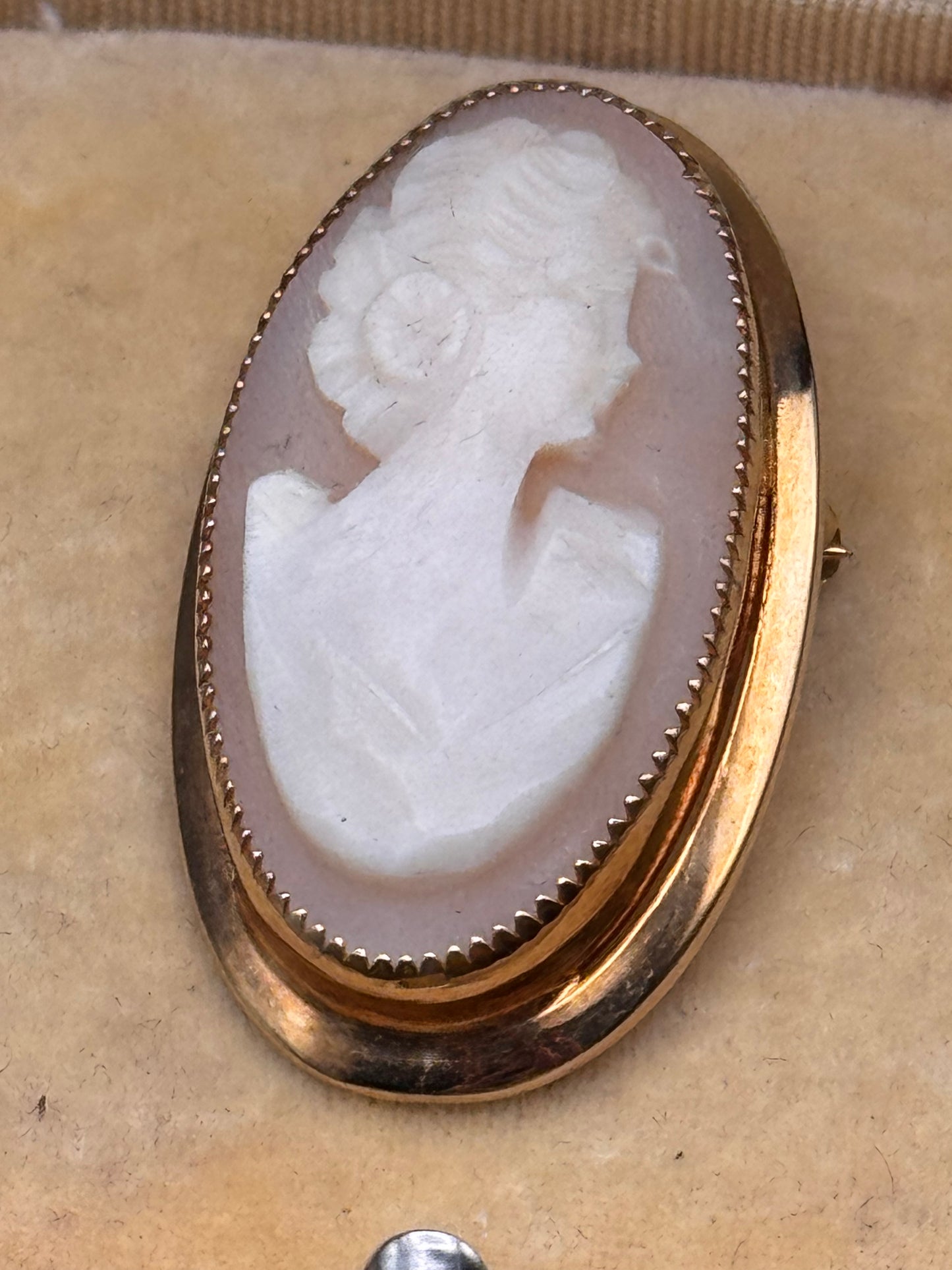 Vintage Gold Filled Carved Shell Cameo Brooch Oval Portrait 1 3/8”