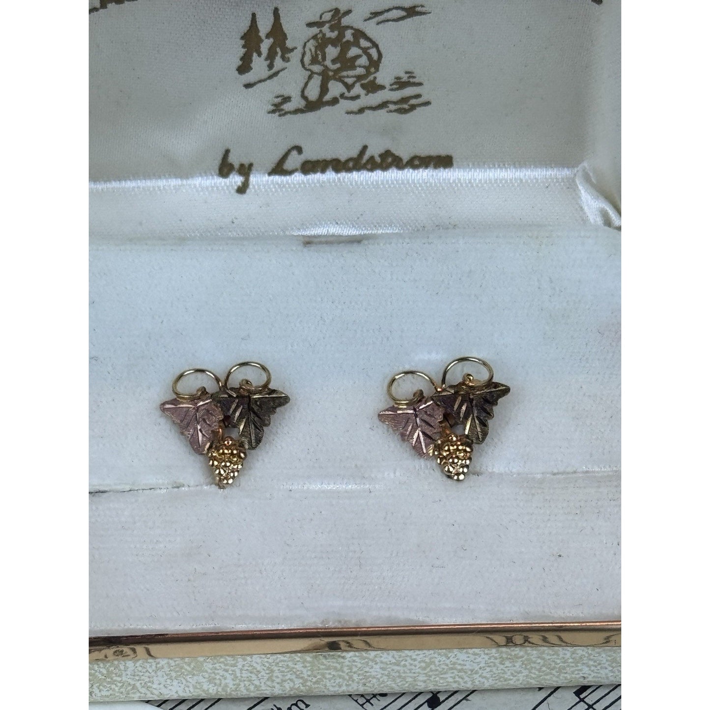 Vintage Black Hills Gold Filled Screw Back Earrings Landstrom’s Case .75”