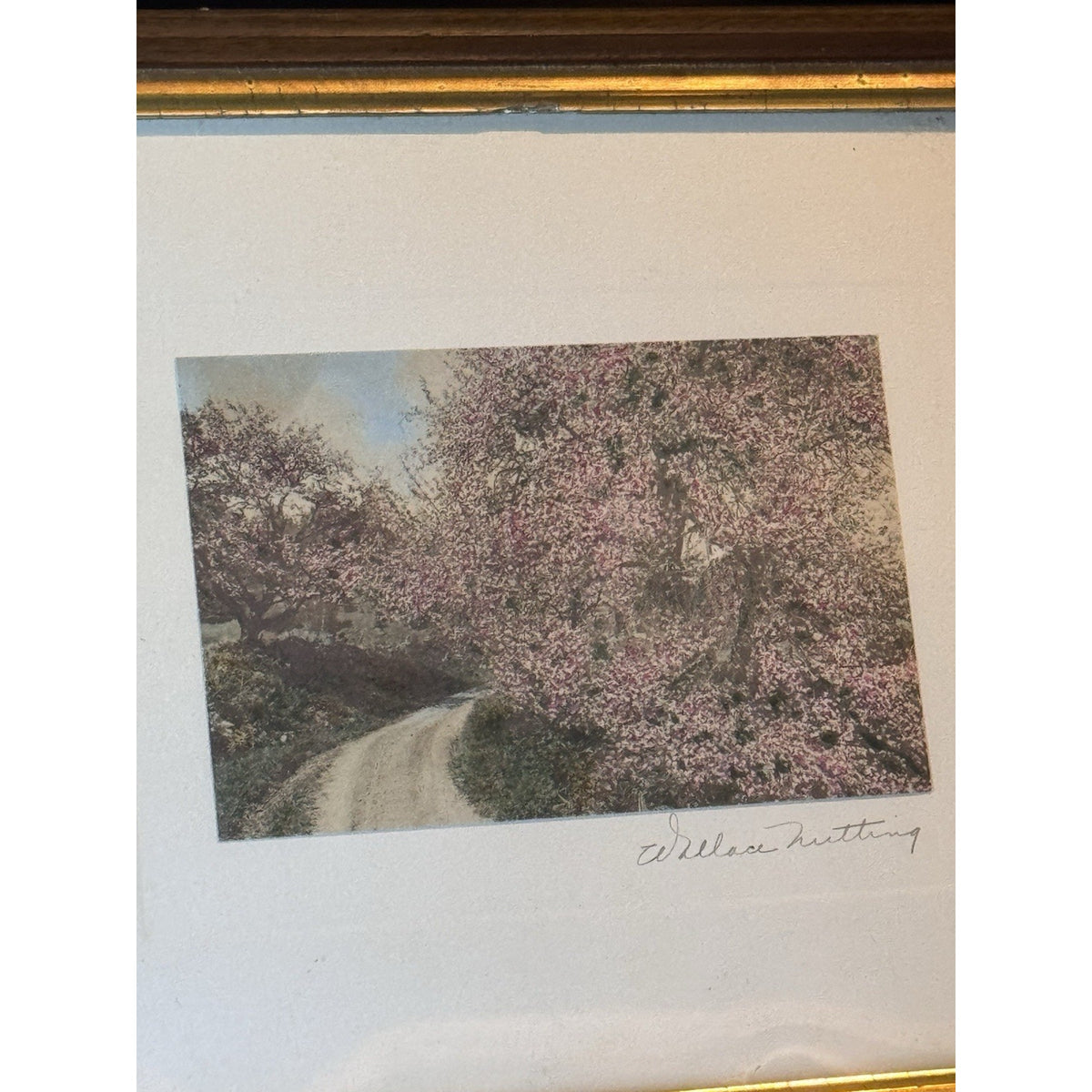 Wallace Nutting Framed Hand Colored Photograph Spring Blossoms Wood Frame 12”