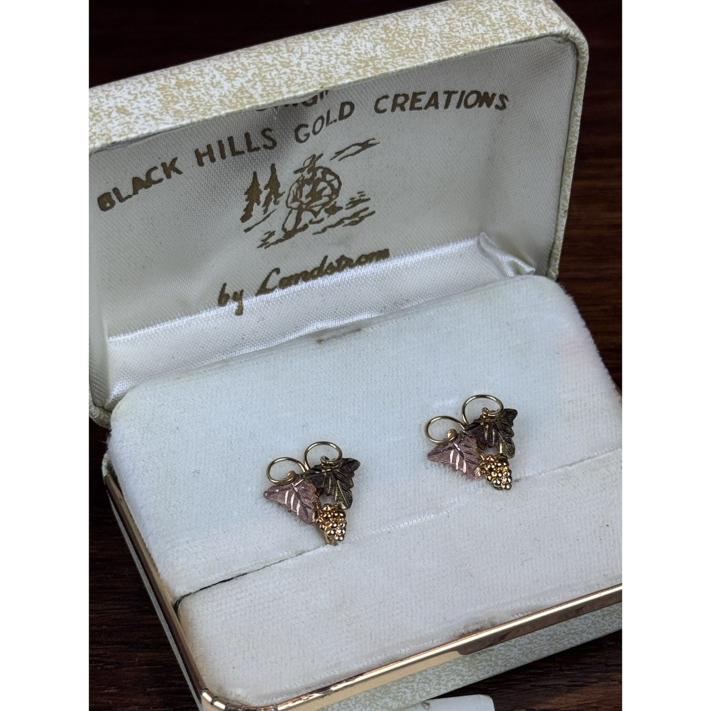 Vintage Black Hills Gold Filled Screw Back Earrings Landstrom’s Case .75”