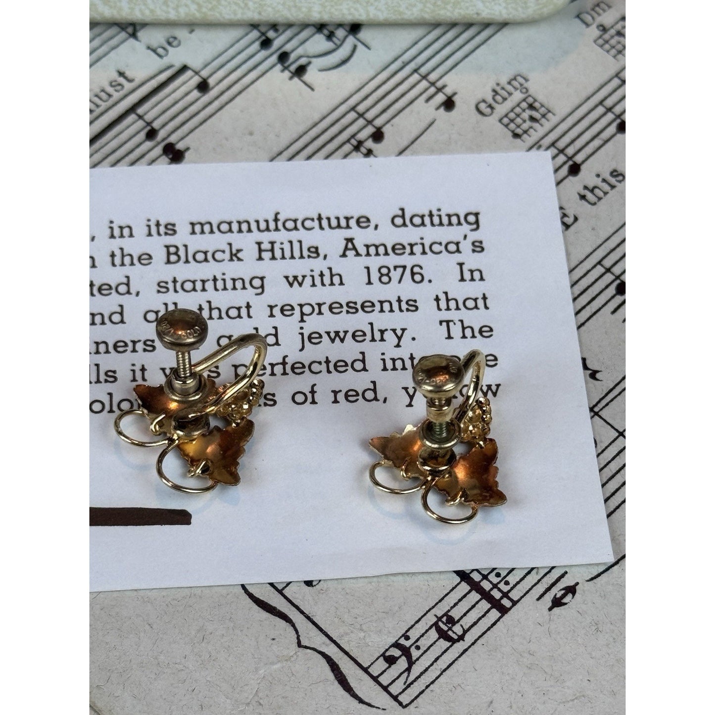 Vintage Black Hills Gold Filled Screw Back Earrings Landstrom’s Case .75”