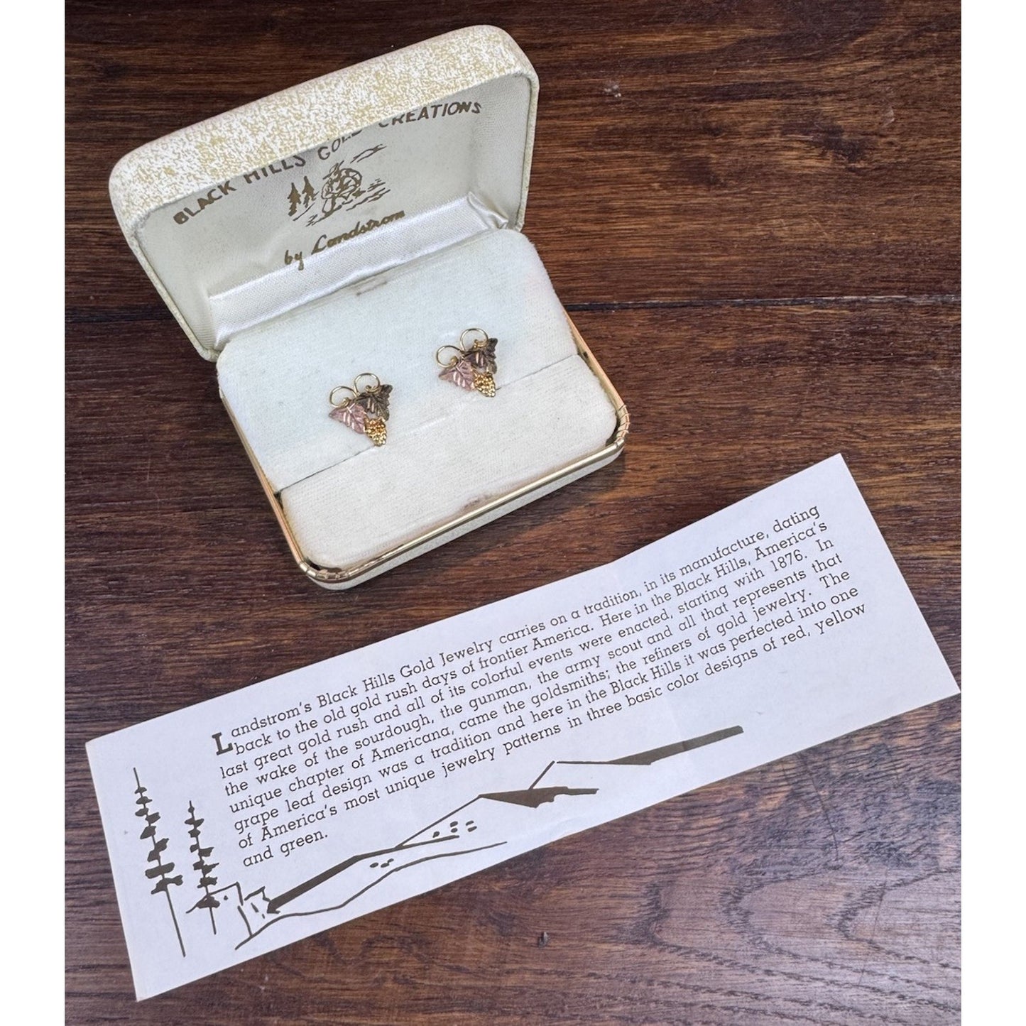 Vintage Black Hills Gold Filled Screw Back Earrings Landstrom’s Case .75”