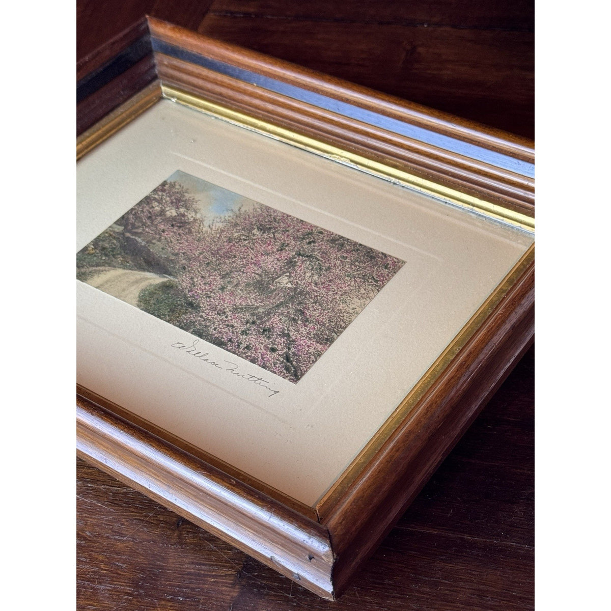 Wallace Nutting Framed Hand Colored Photograph Spring Blossoms Wood Frame 12”