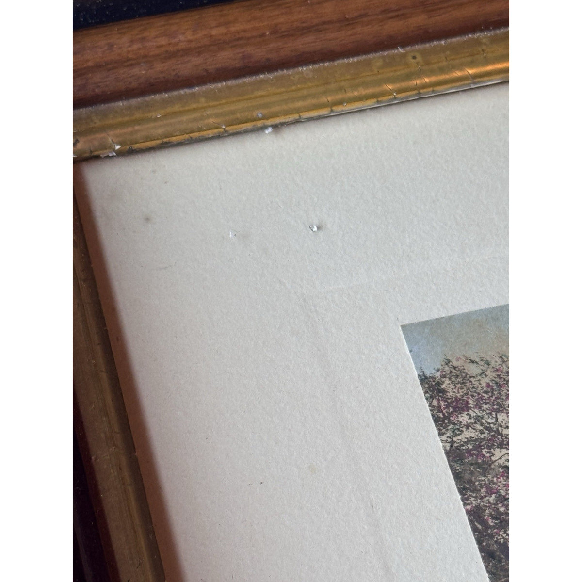 Wallace Nutting Framed Hand Colored Photograph Spring Blossoms Wood Frame 12”