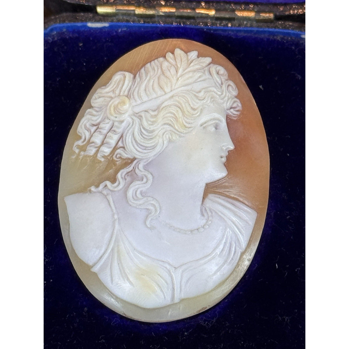 Victorian Shell Cameo Loose Carved Classical Woman Maiden Portrait 2” ANTIQUE