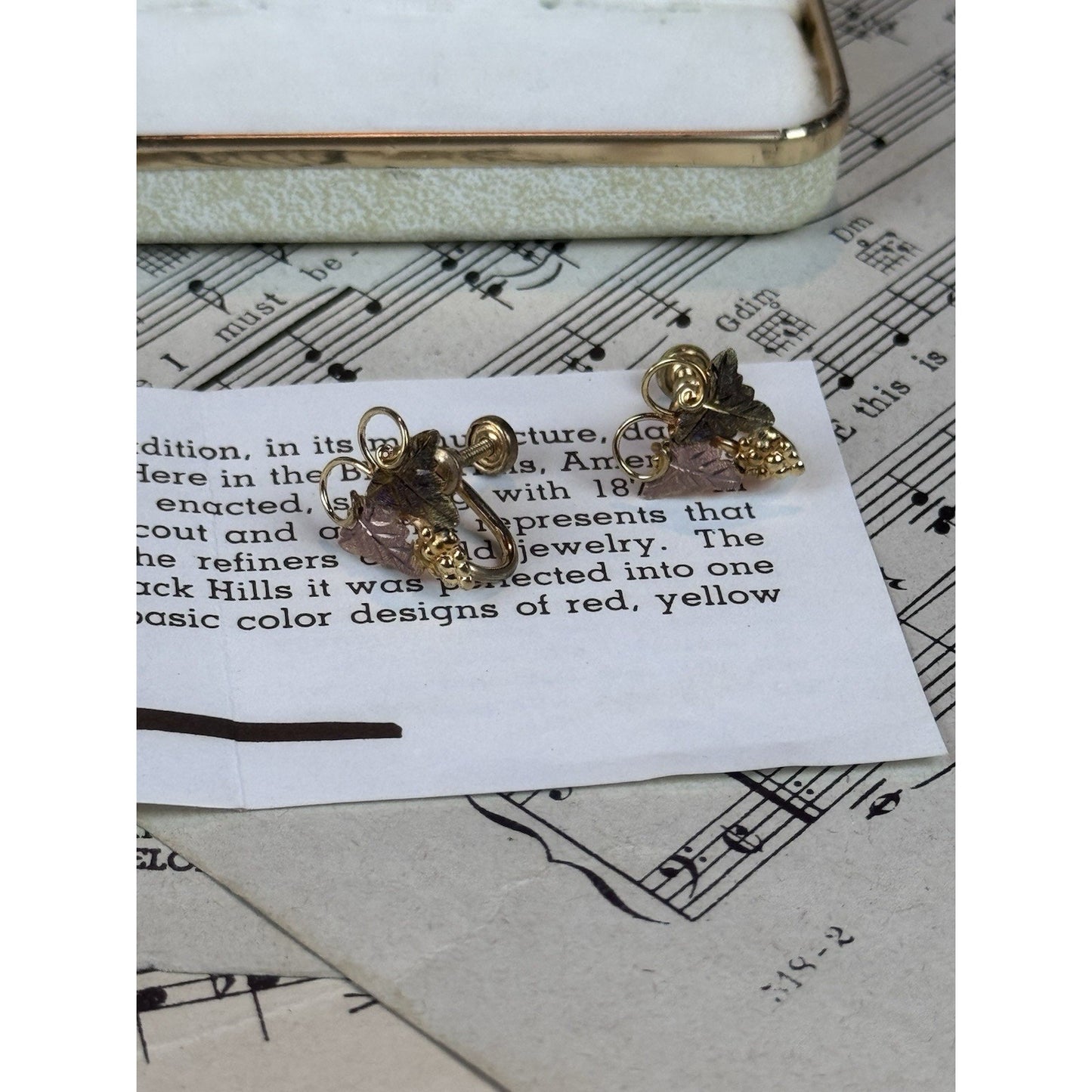 Vintage Black Hills Gold Filled Screw Back Earrings Landstrom’s Case .75”