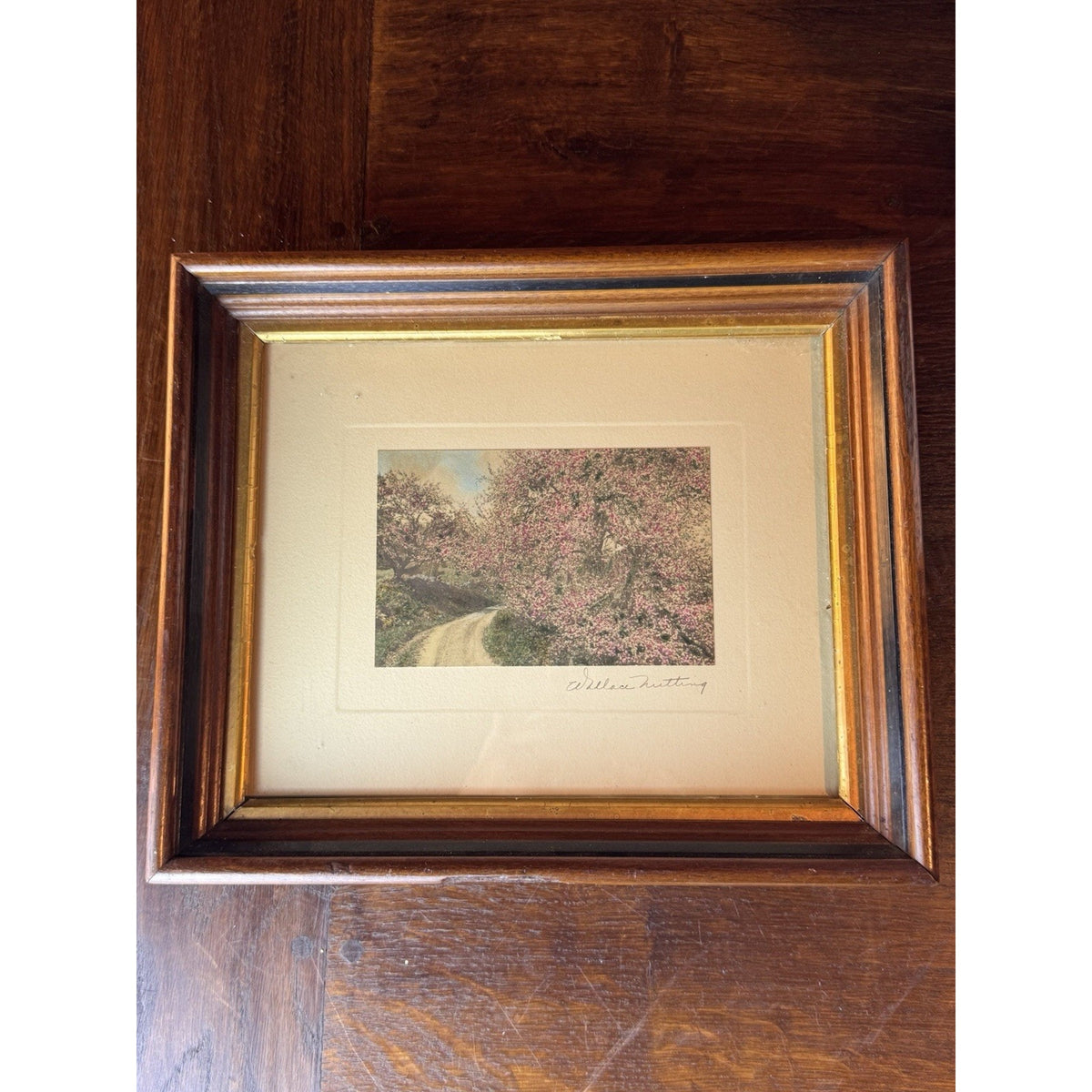 Wallace Nutting Framed Hand Colored Photograph Spring Blossoms Wood Frame 12”