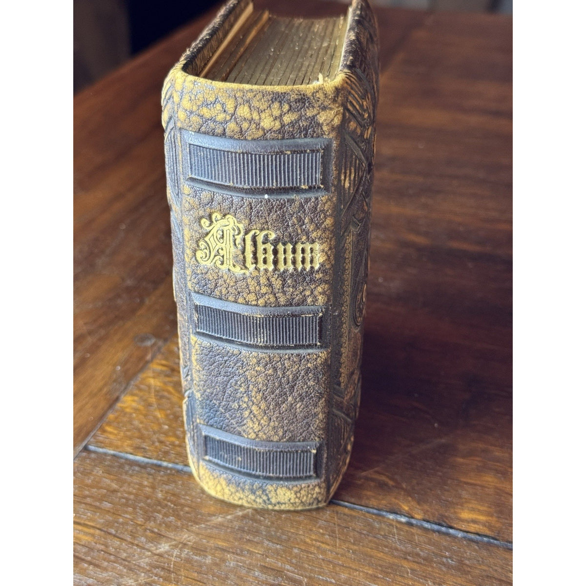 Antique Photo Album 18 Victorian Portraits Embossed Cover Clasp 6”x5” DAMAGED