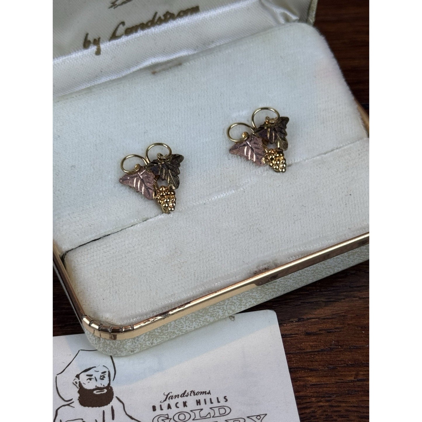 Vintage Black Hills Gold Filled Screw Back Earrings Landstrom’s Case .75”